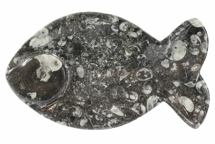 Fish-Shaped Fossil Goniatite Dish (Black) - Stoneware #62457